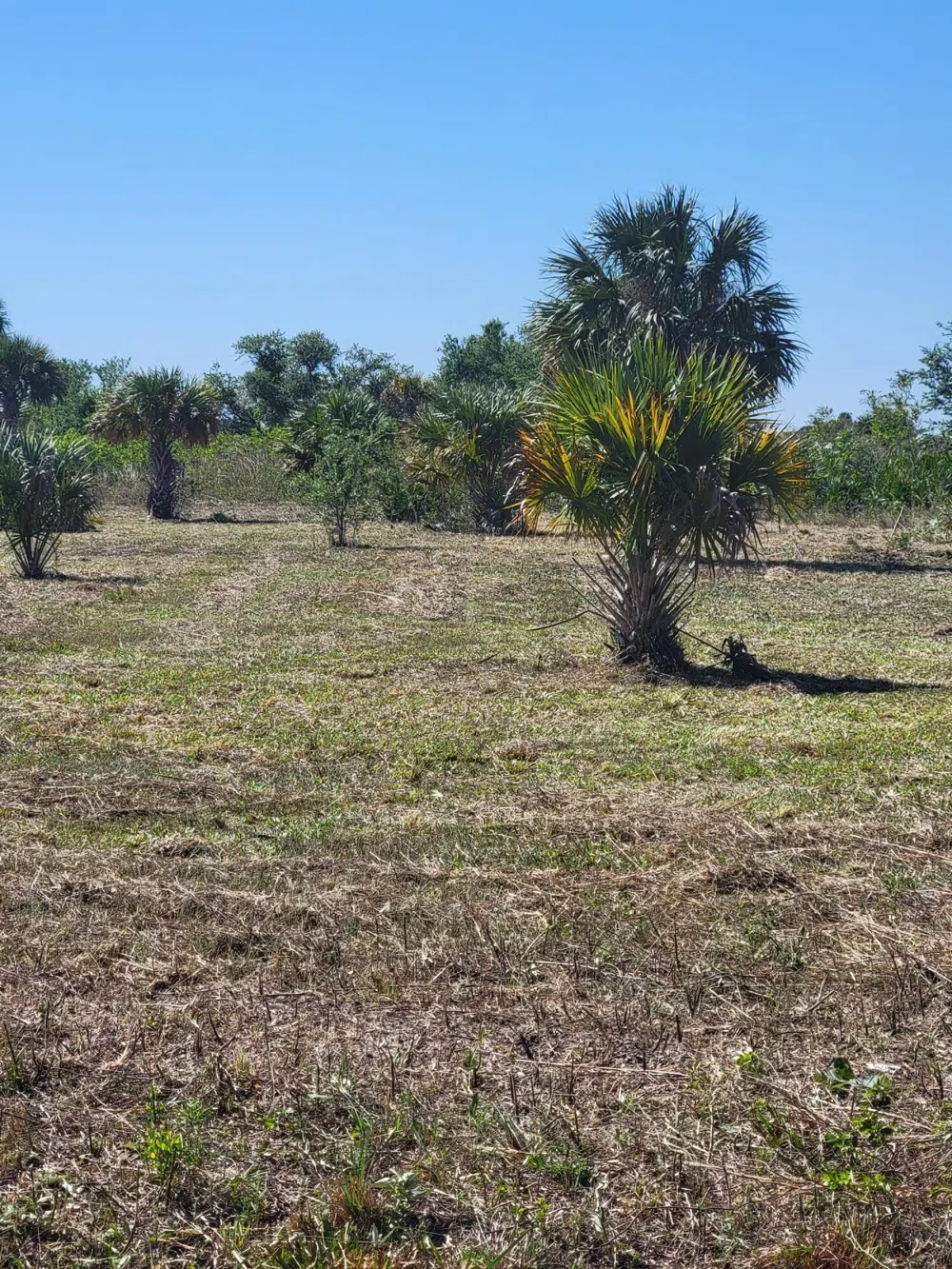 16216 NW 292nd Street