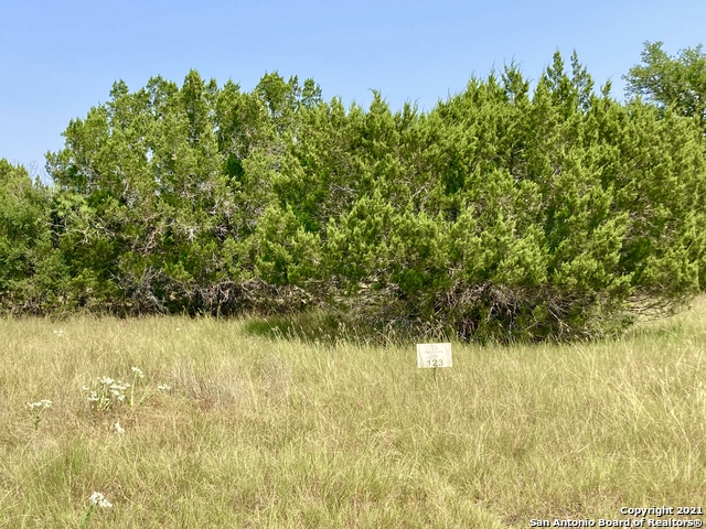 LOT 123 PALOMINO SPGS