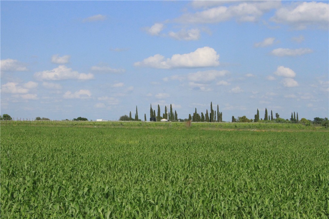 TBD Beautiful Home Site in Texas Hill Country