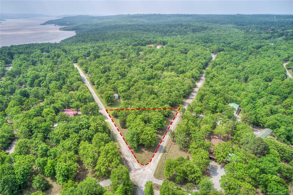 Council Tree Dr Arrowhead Esta Drive