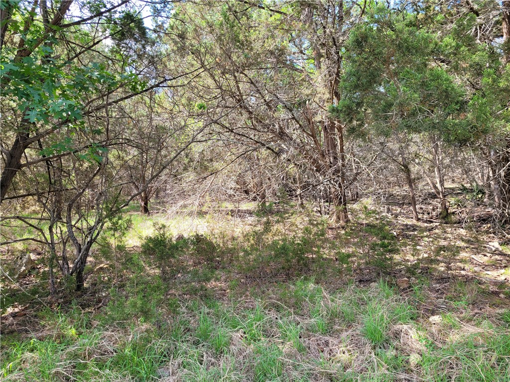 9015 Rebecca Creek Road