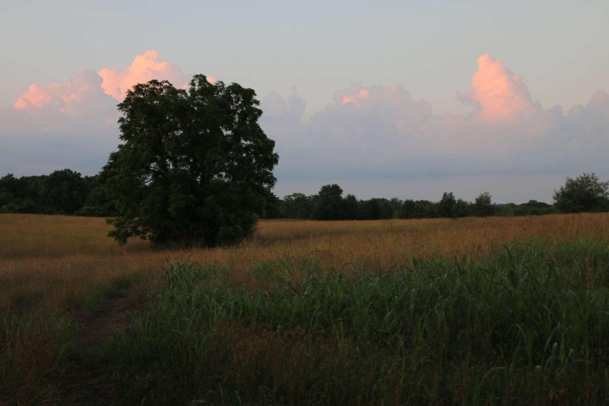 2428 Dallas Nebo Road