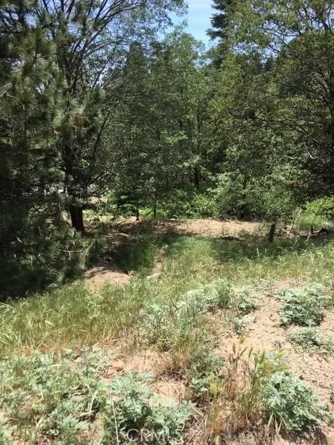 State Hwy 18 Lake Arrowhead, CA 92352