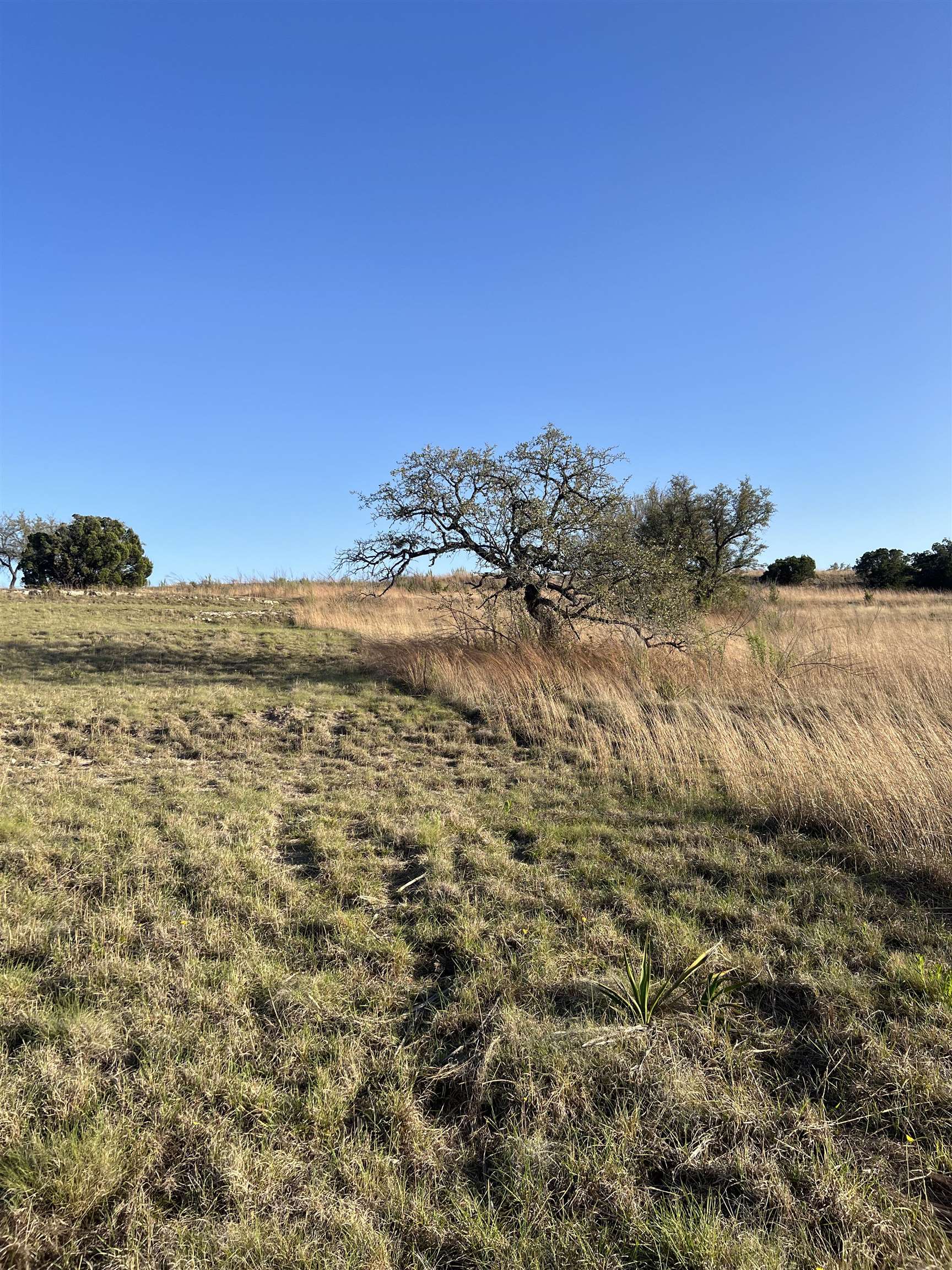 Lot 67 Bosque Trail