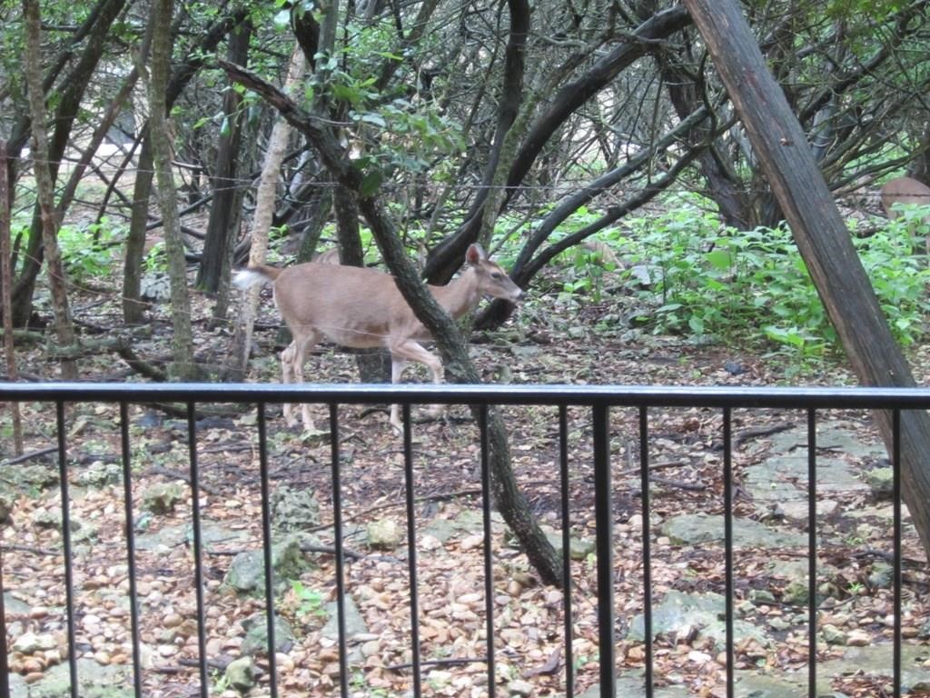 4711 Spicewood Springs Road #3-114