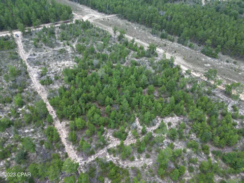 Rolling Pines Road