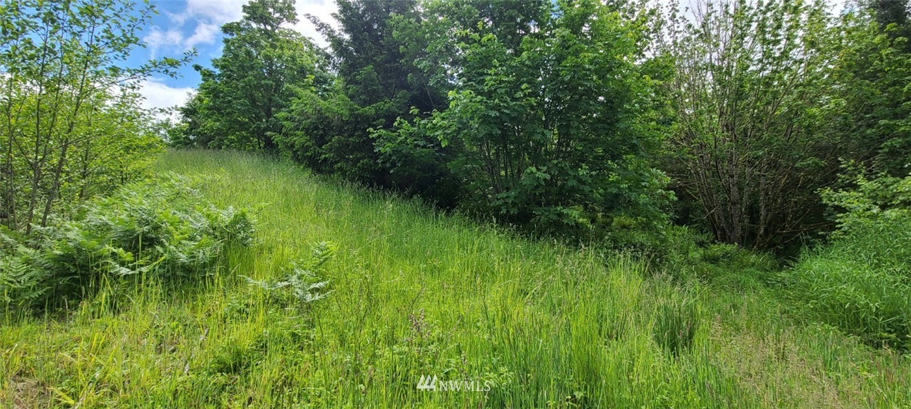 10921 Salmon Creek Lane SW