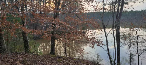 141 ASHLAND DR DRIVE