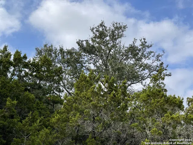 TBD Fawn River Drive (Lot 188)