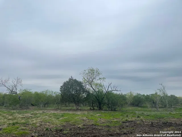 118 WILD PERSIMMON TRAIL