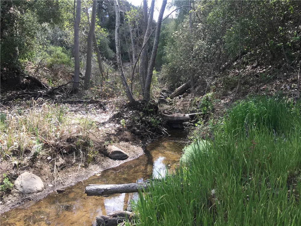 26 Cutca Valley Truck Trail Aguanga, CA 92536
