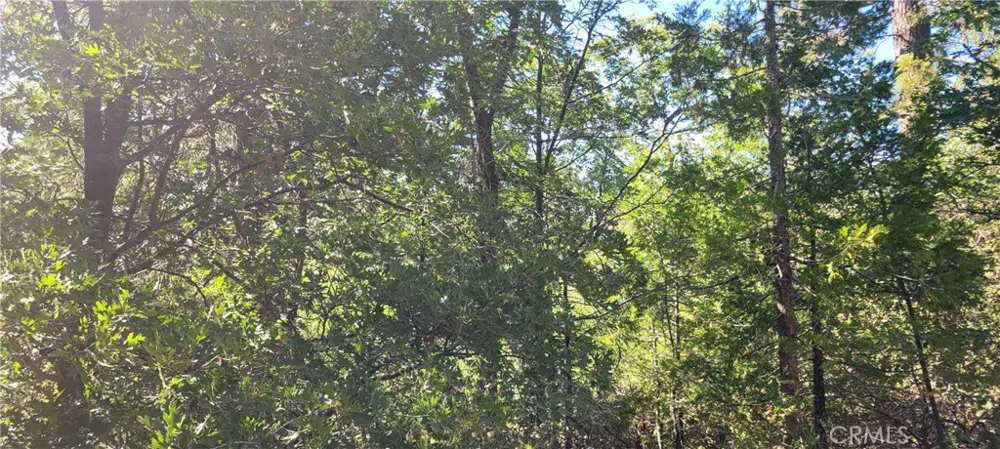 Deerway Lake Arrowhead, CA 92352