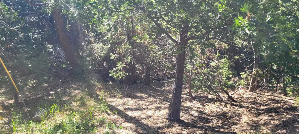 Deerway Lake Arrowhead, CA 92352
