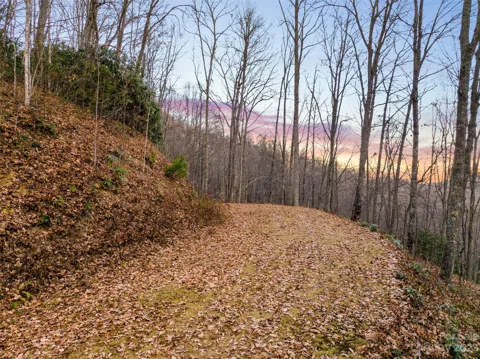 00 Deep Gap Road #62/62 addition