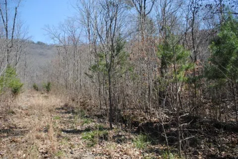 511 Newsome Gap Road