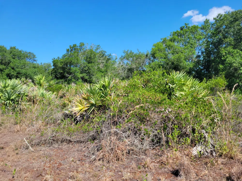 21442 NW 270th Street