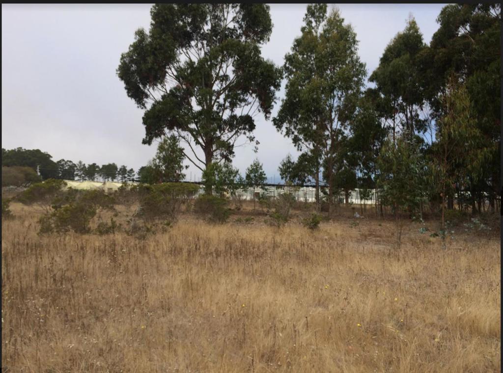 Undefined (Van Ness)