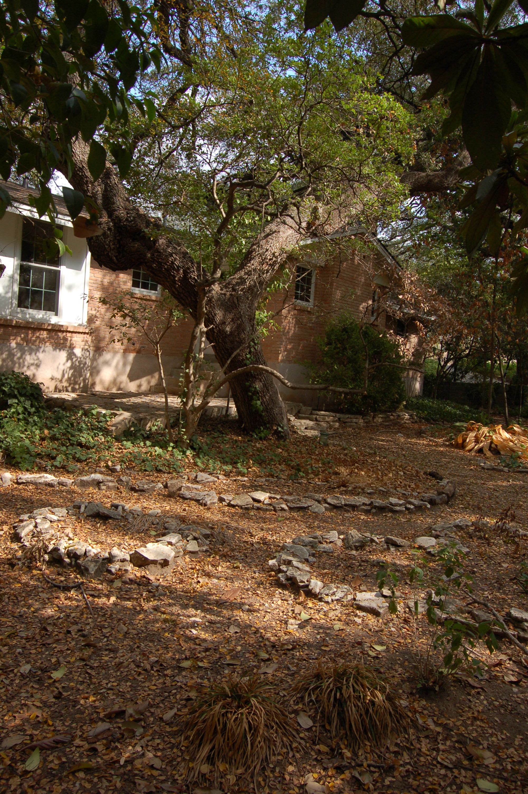 817 E 38th Austin, Texas 78705