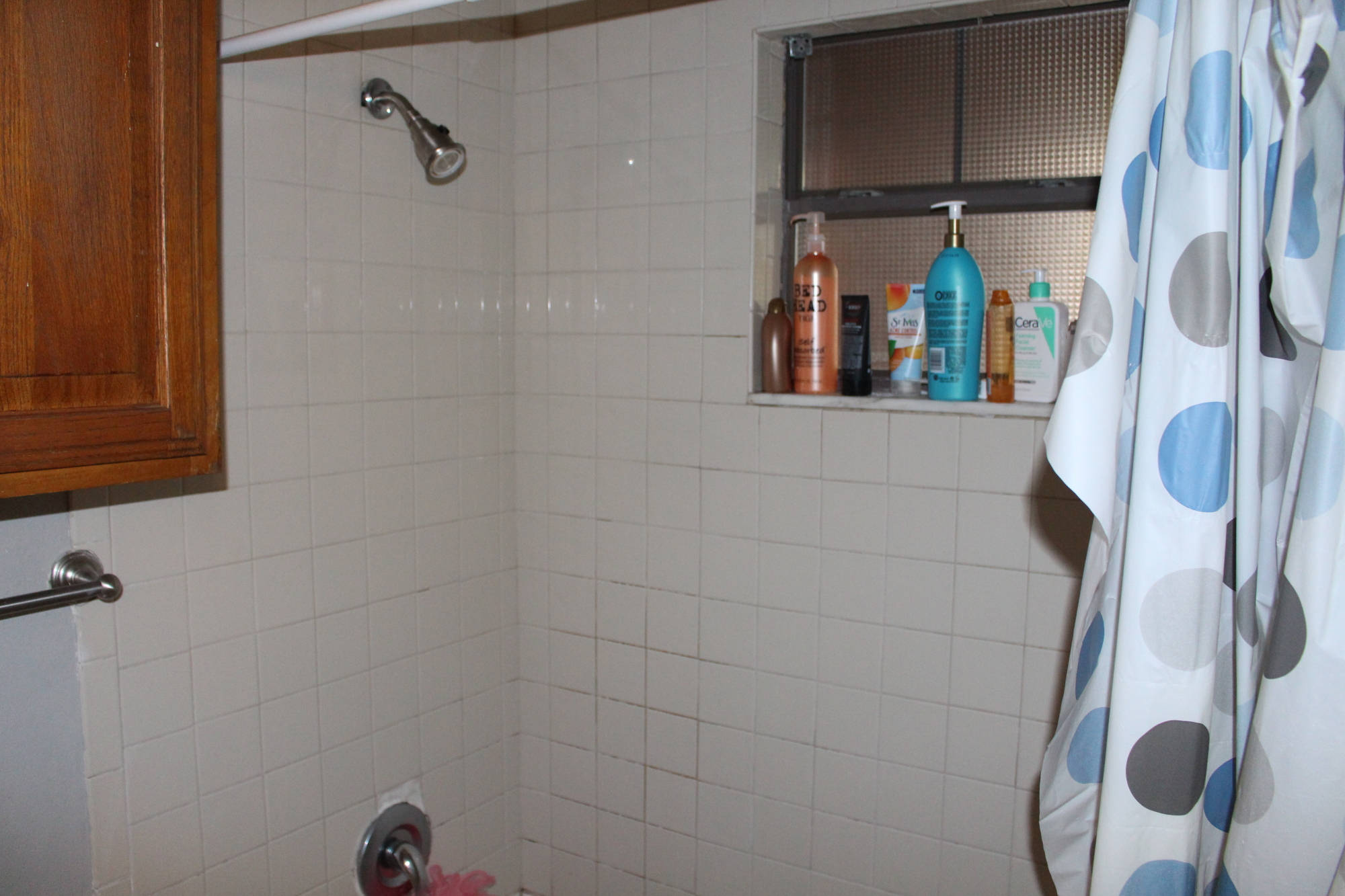 2509 Pearl Unit 4 Austin, Texas 78705