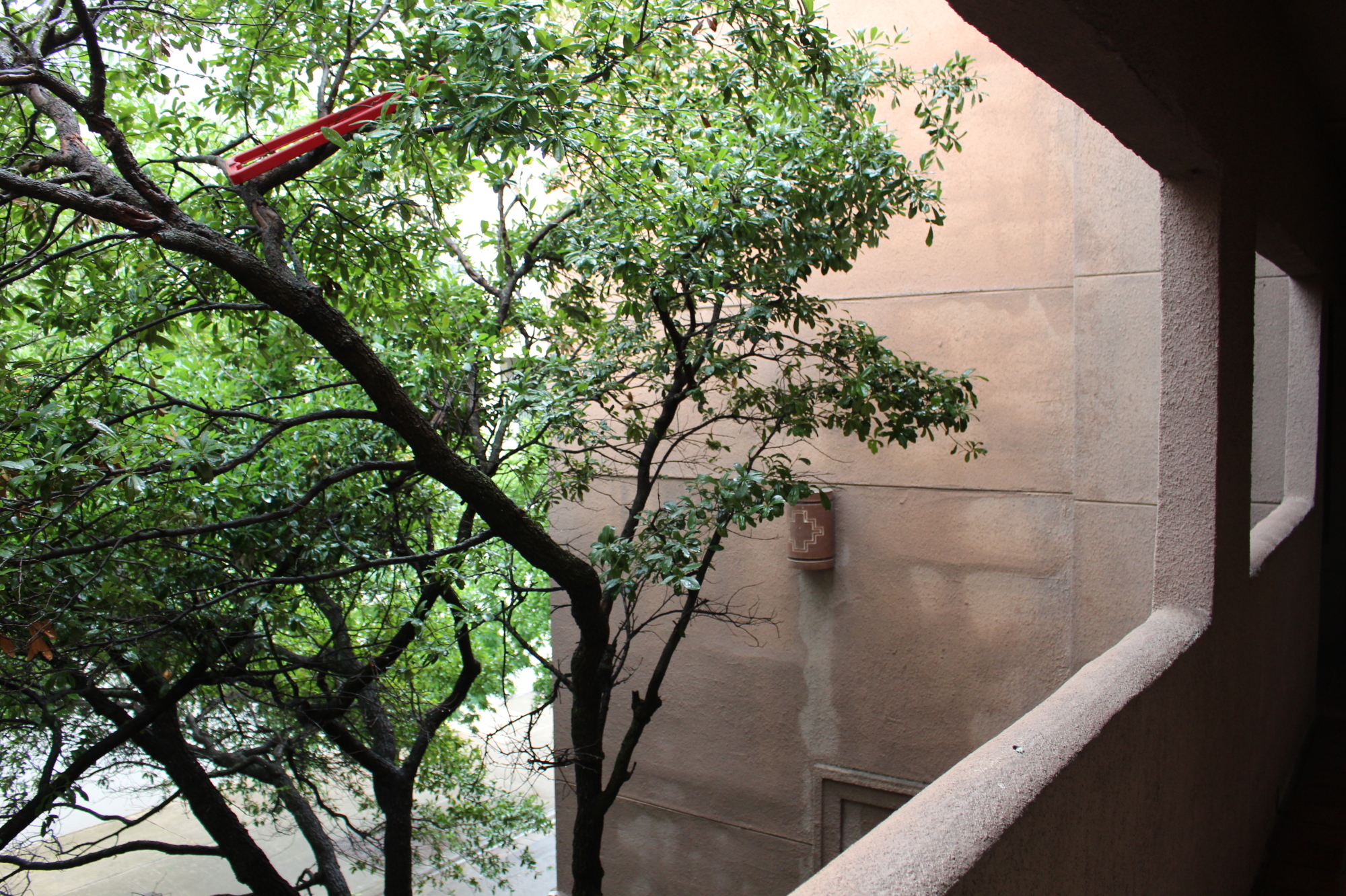 2509 Pearl Unit 4 Austin, Texas 78705