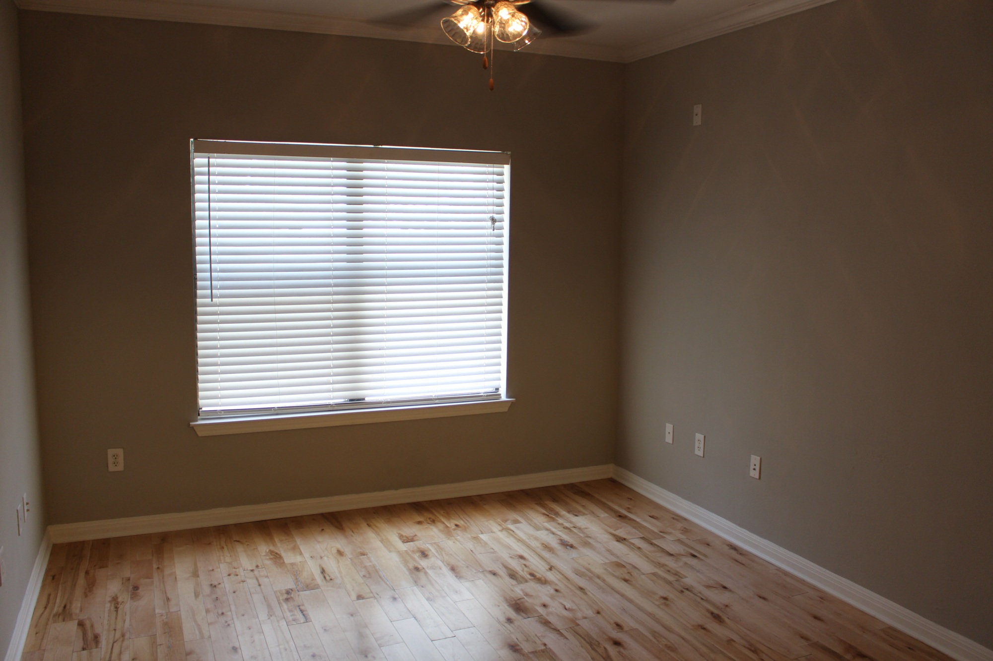 2502 Leon St. #218 Austin, Texas 78705