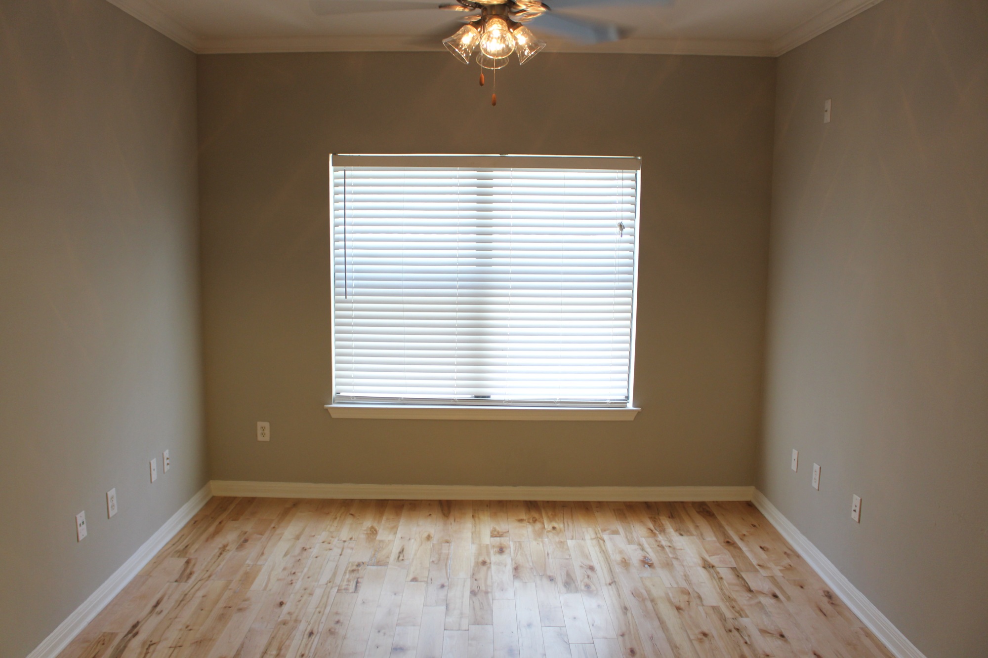 2502 Leon St. #218 Austin, Texas 78705