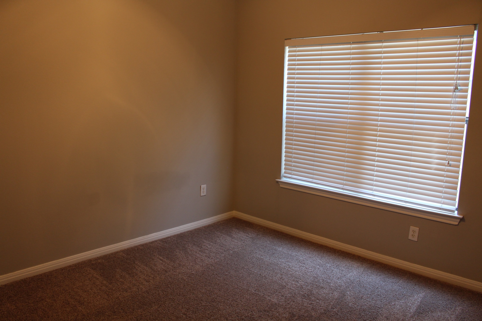 2502 Leon St. #218 Austin, Texas 78705