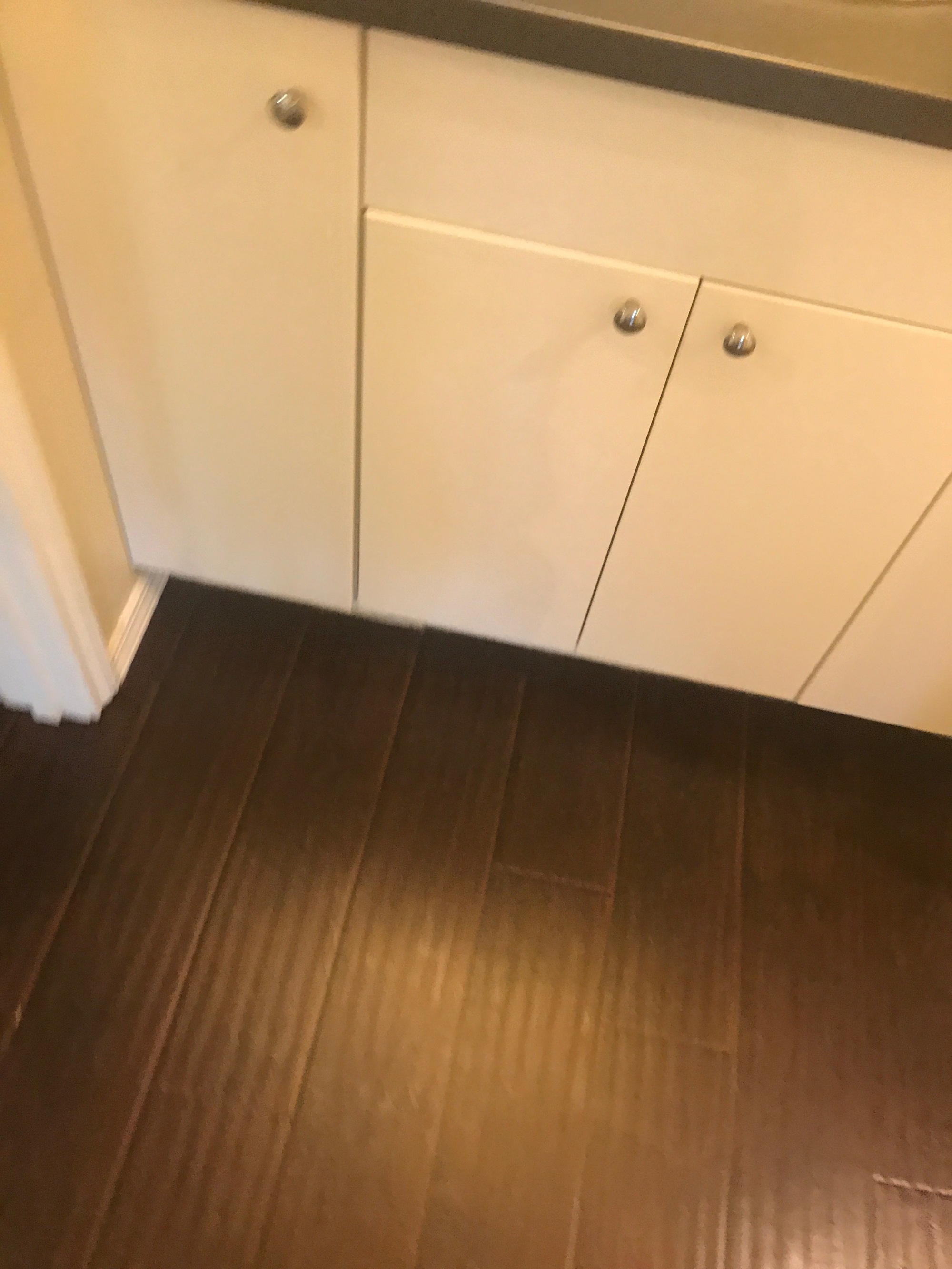 3206 King St #205 Austin, Texas 78705