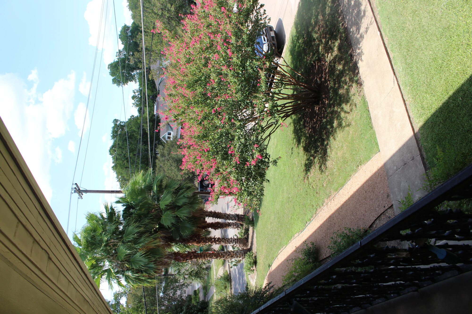 301 E 34th #105 Austin, Texas 78705