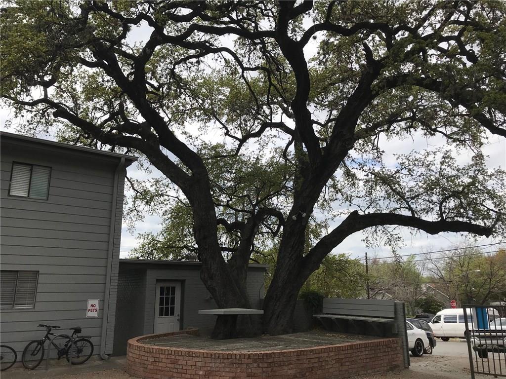 803 W 28th #106 Austin, Texas 78705