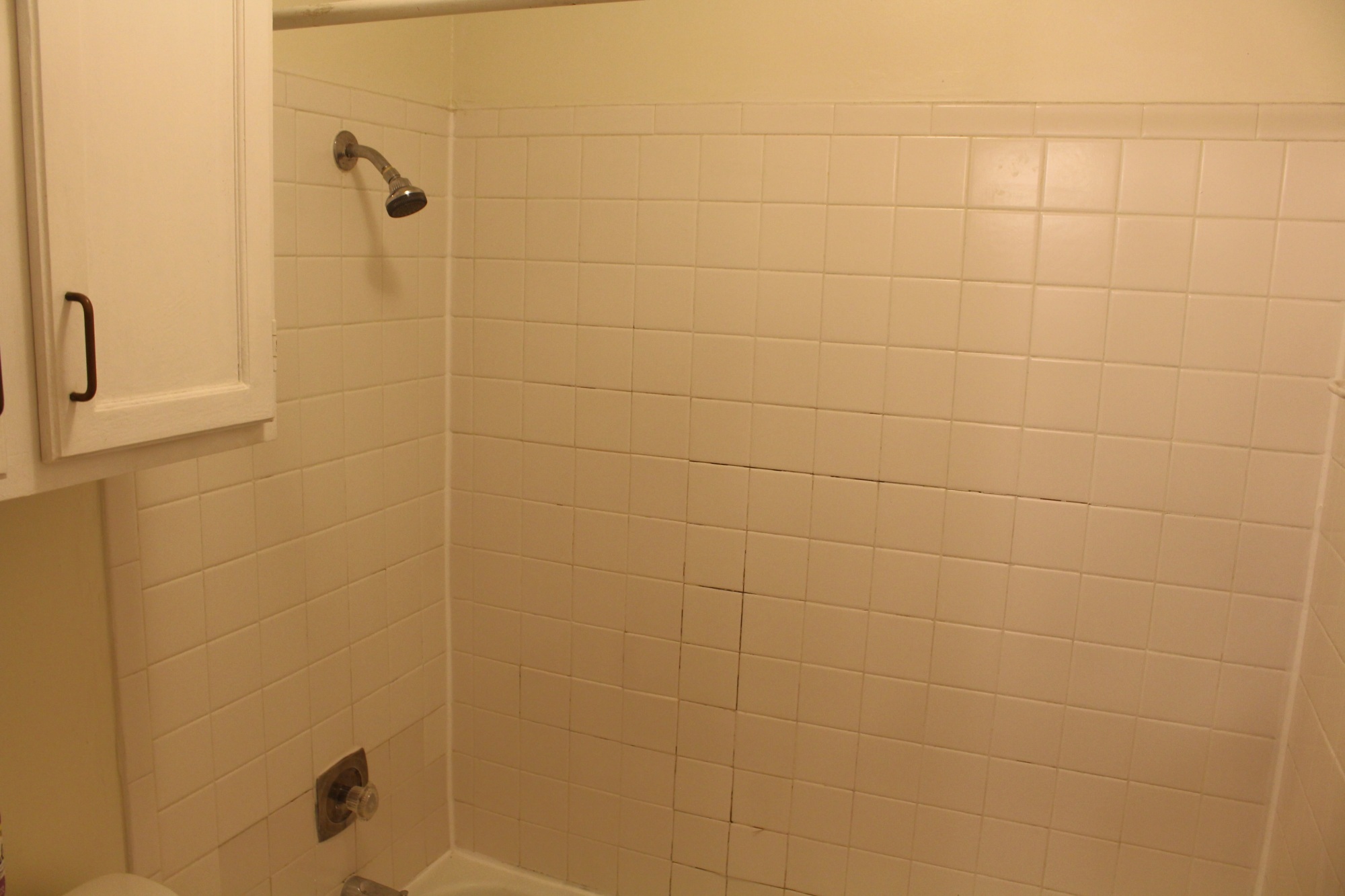 2815 Rio Grande #212 Austin, Texas 78705