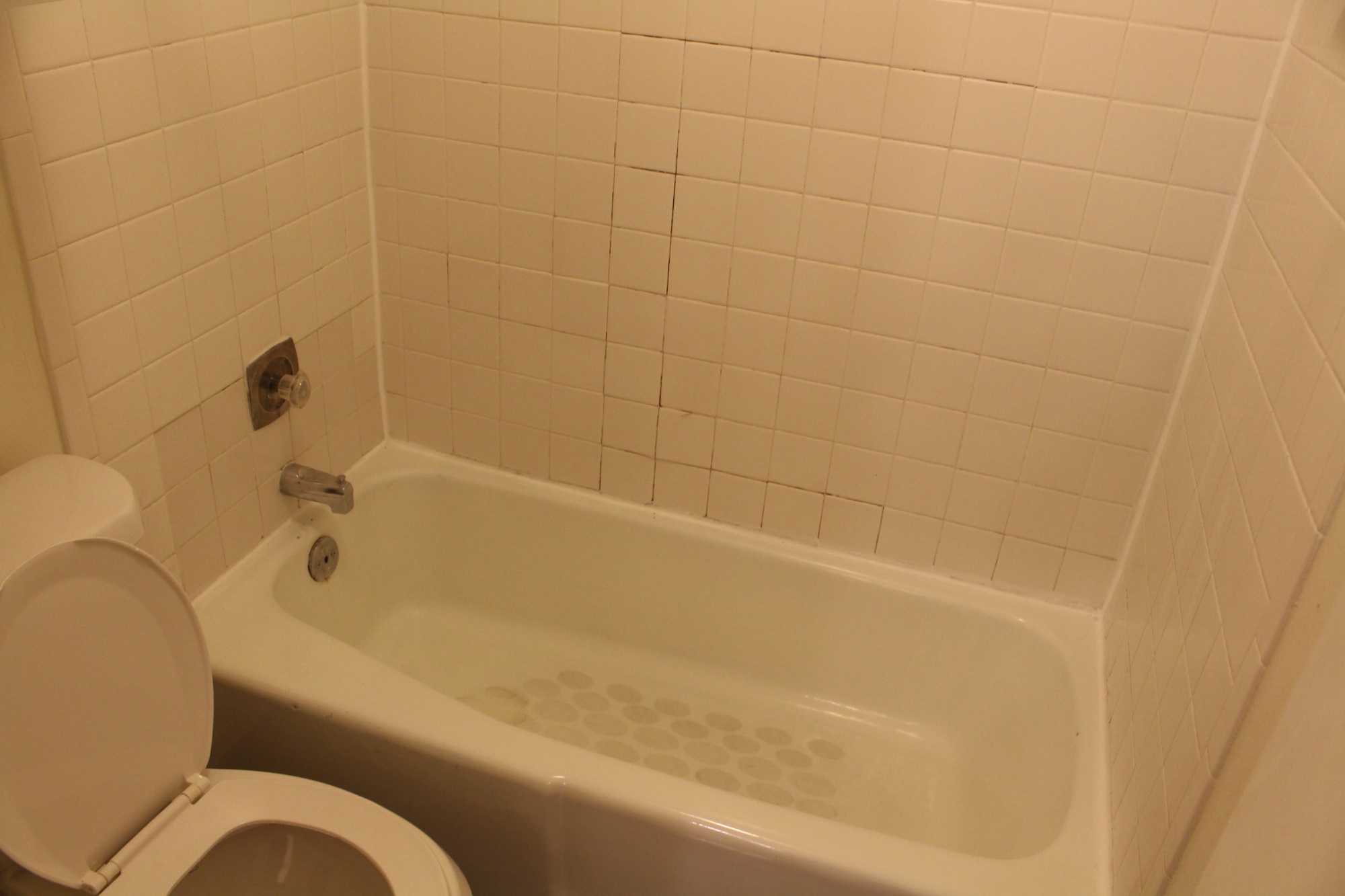 2815 Rio Grande #212 Austin, Texas 78705