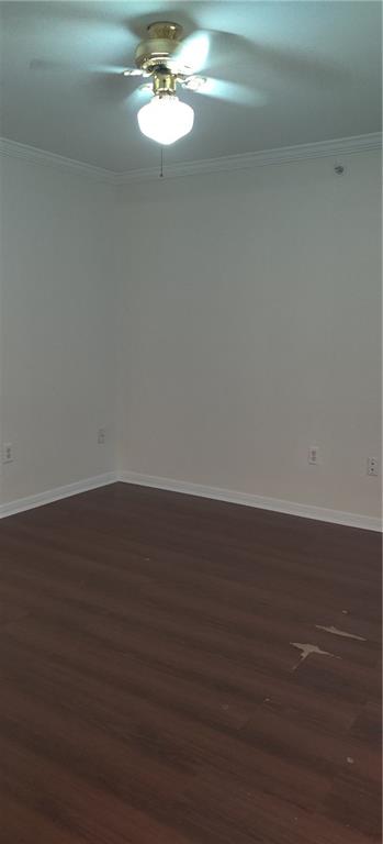 501 W 26th St #311 Austin, Texas` 78705
