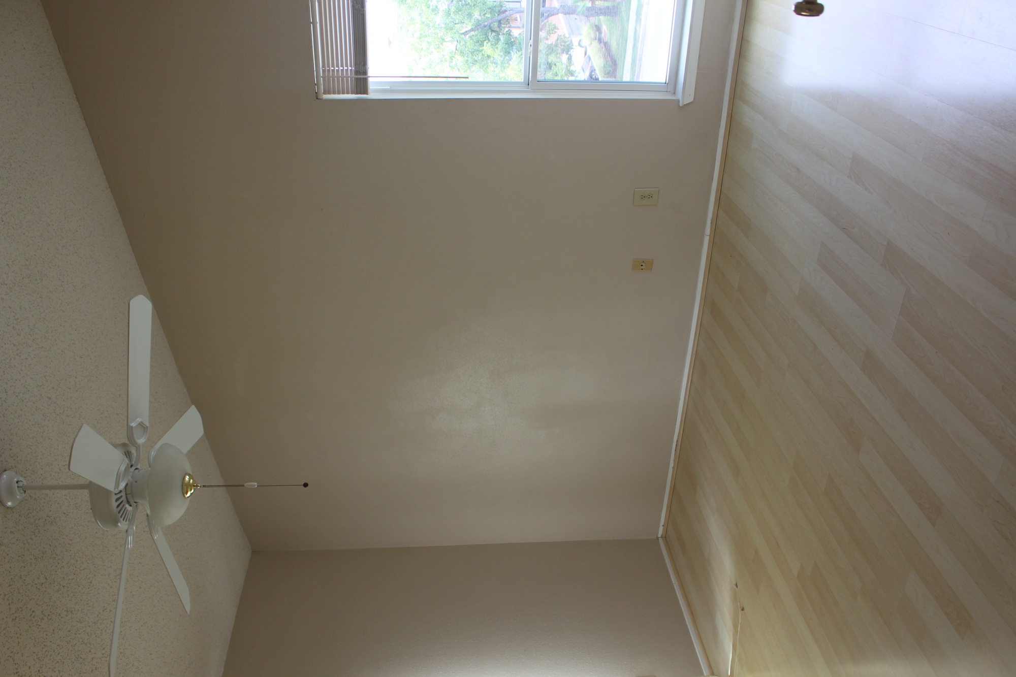114 E 31st  #301 Austin, Texas 78705