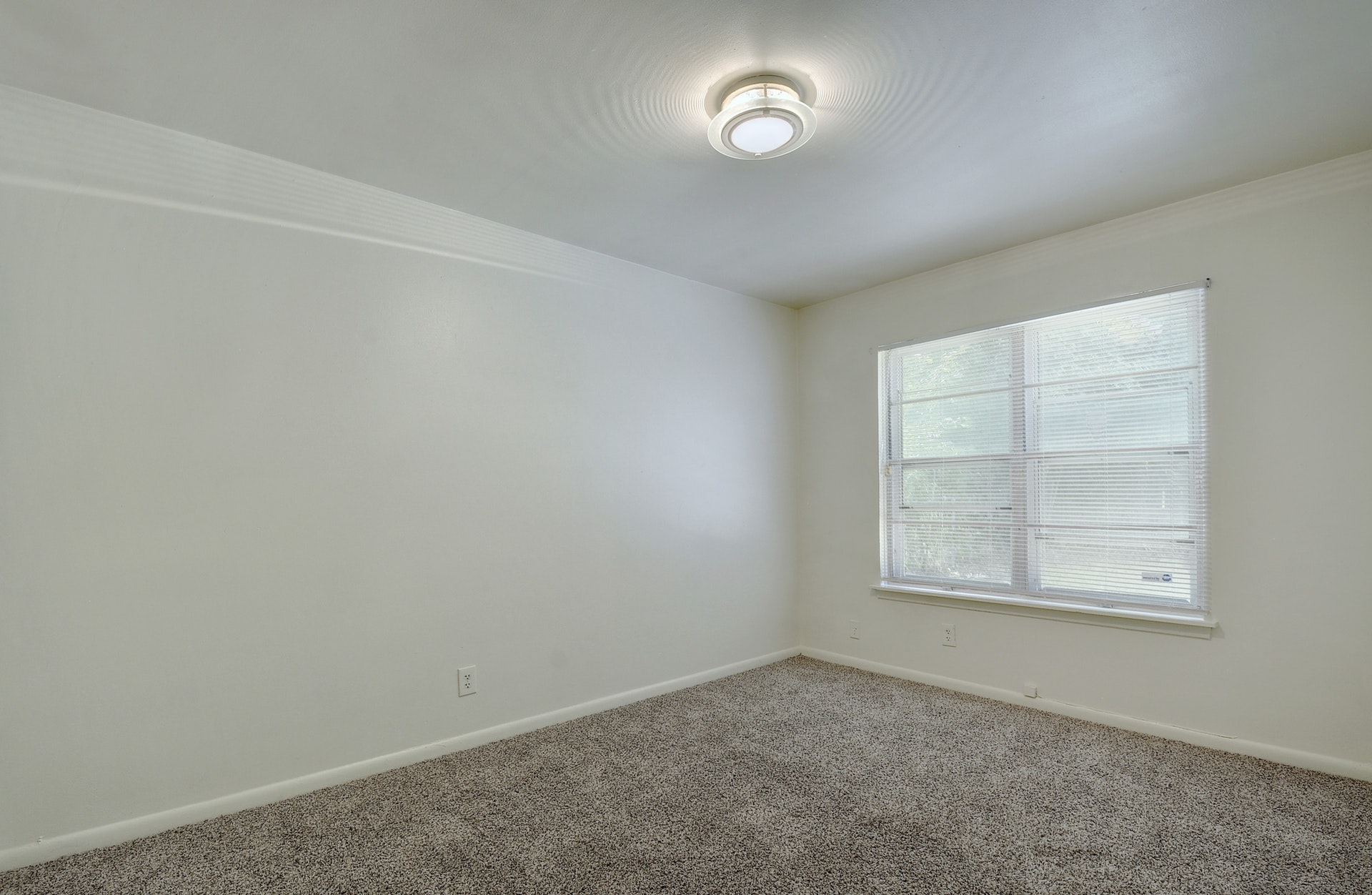 129 Coleman Austin, Texas 78704