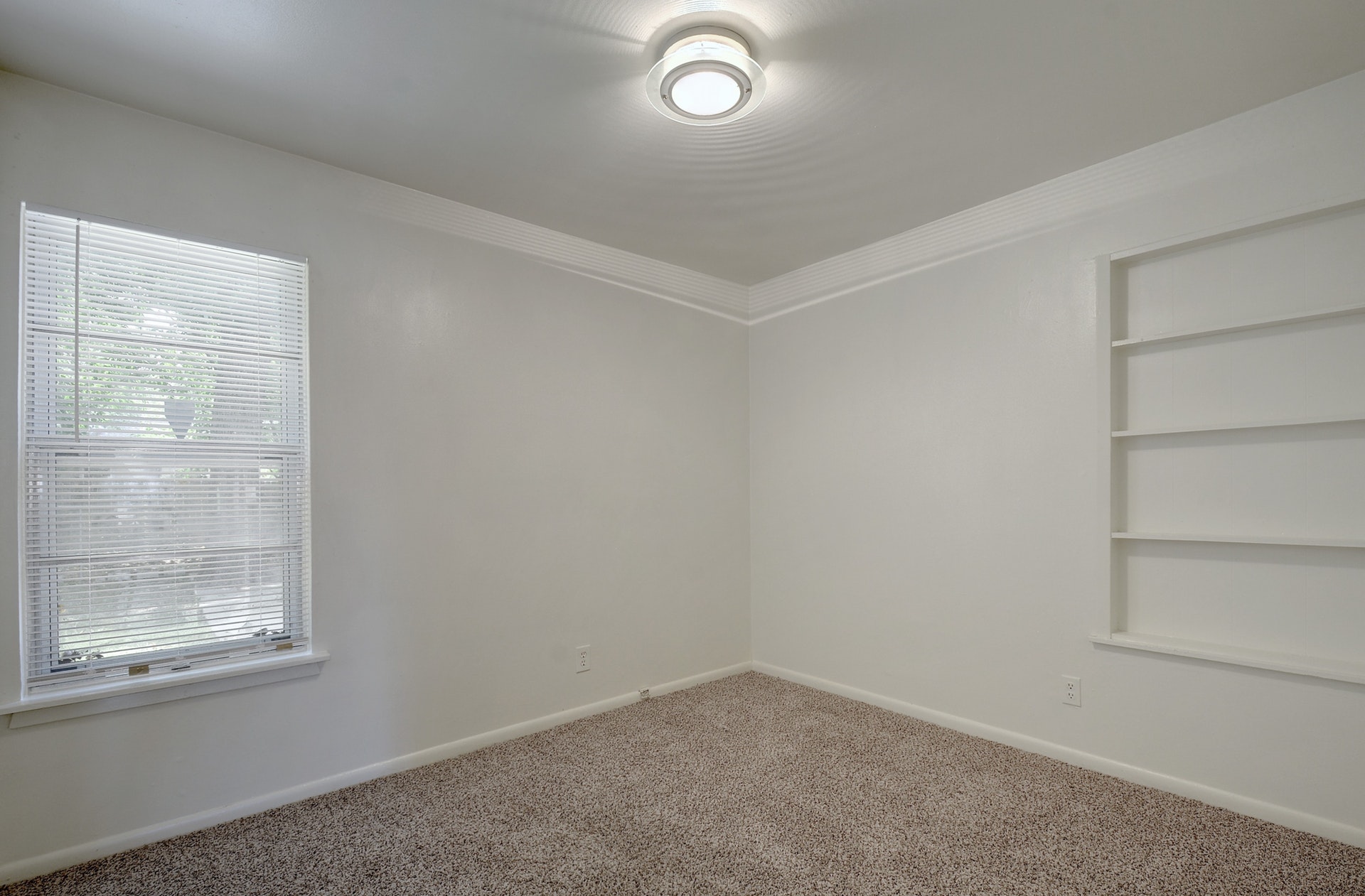 129 Coleman Austin, Texas 78704