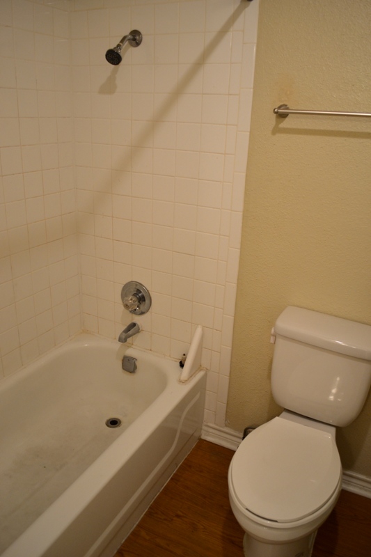 2008 San Antonio St Unit 301 Austin, Texas 78705