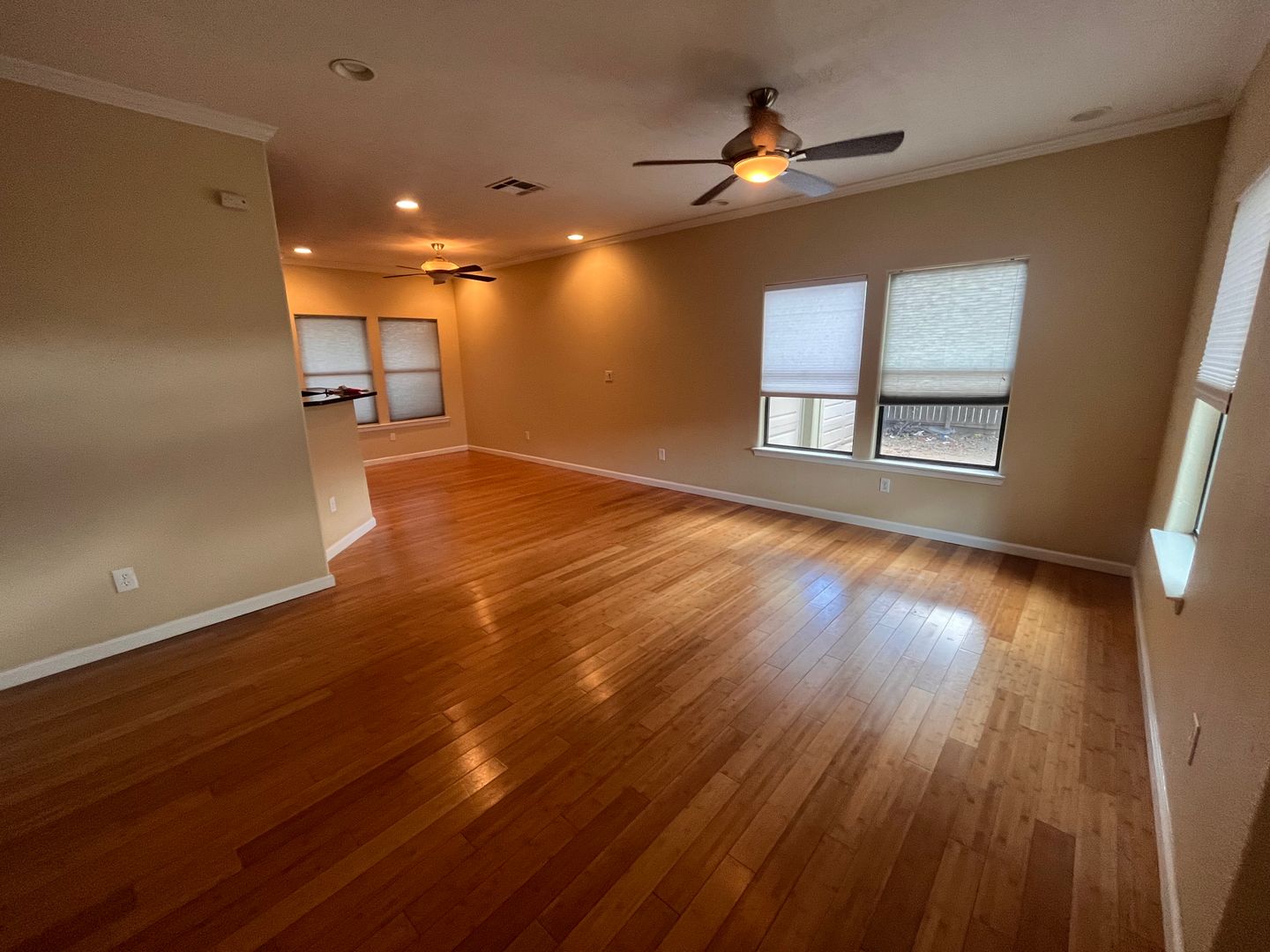 1038 E 43rd B Austin, Texas 78751