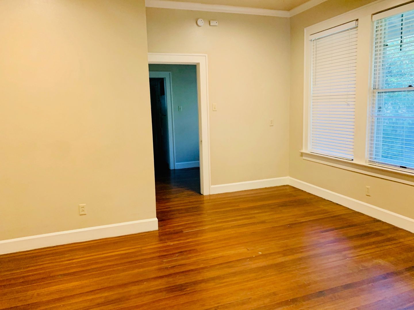 3800 Avenue F Austin, Texas 78751
