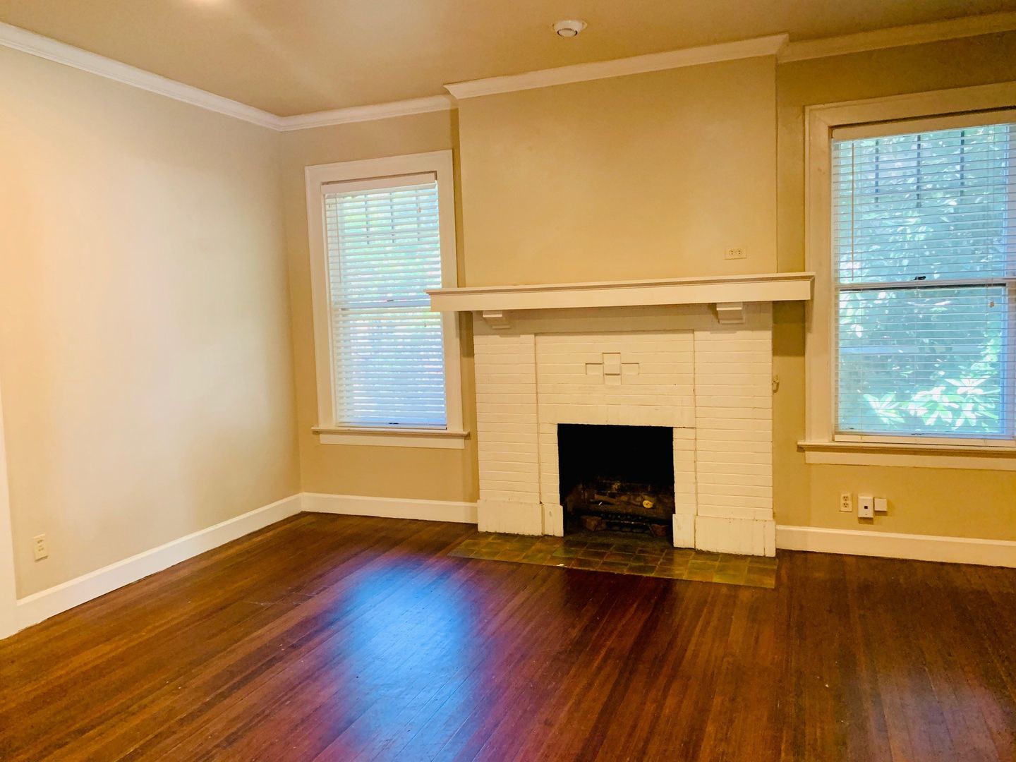 3800 Avenue F Austin, Texas 78751