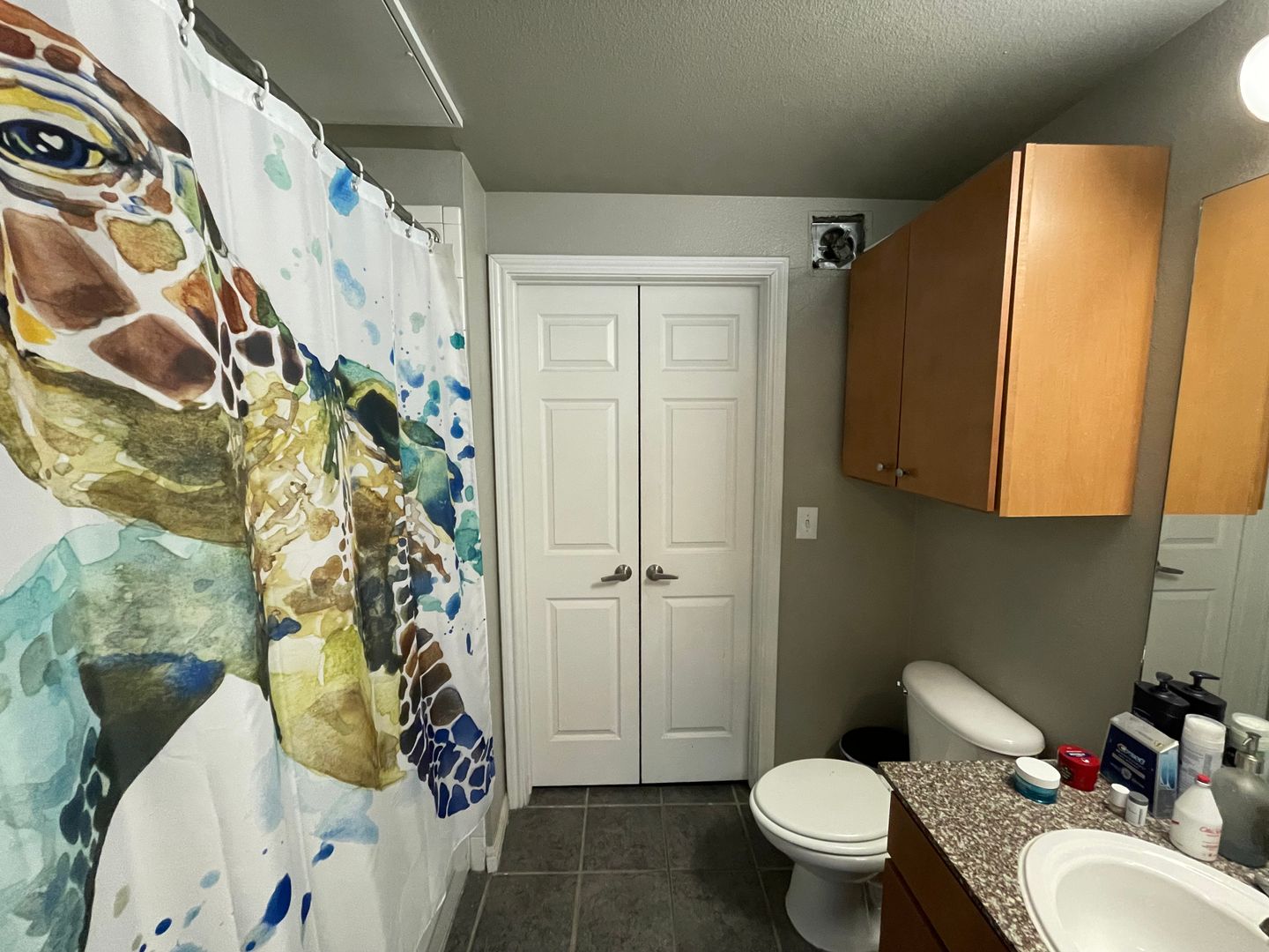 2502 Leon St Unit 207 Austin, TX 78705