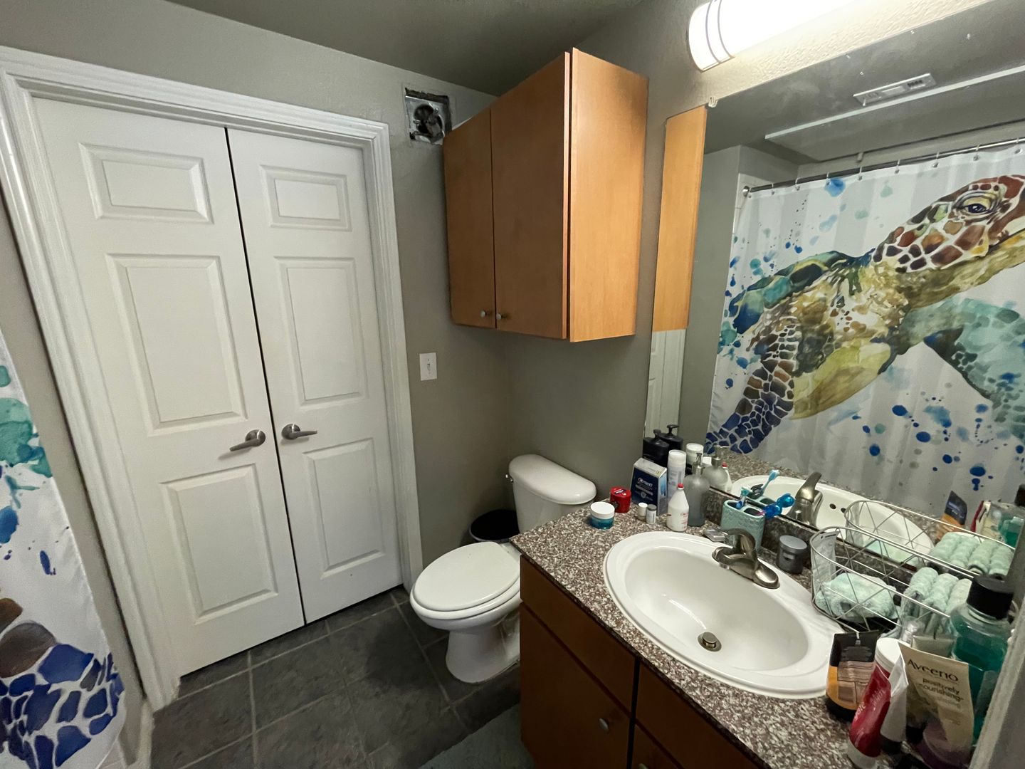 2502 Leon St Unit 207 Austin, TX 78705