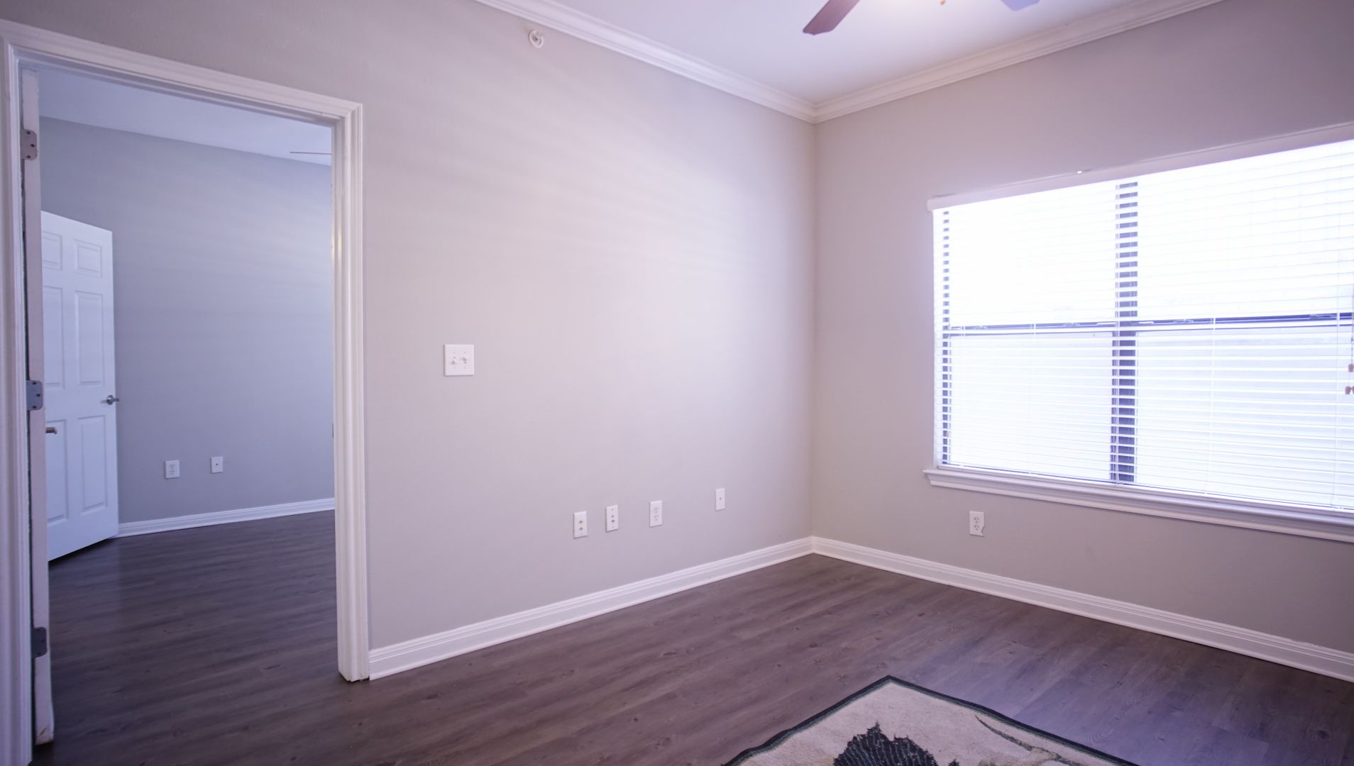 2502 Leon St Unit 203 Austin, TX 78705