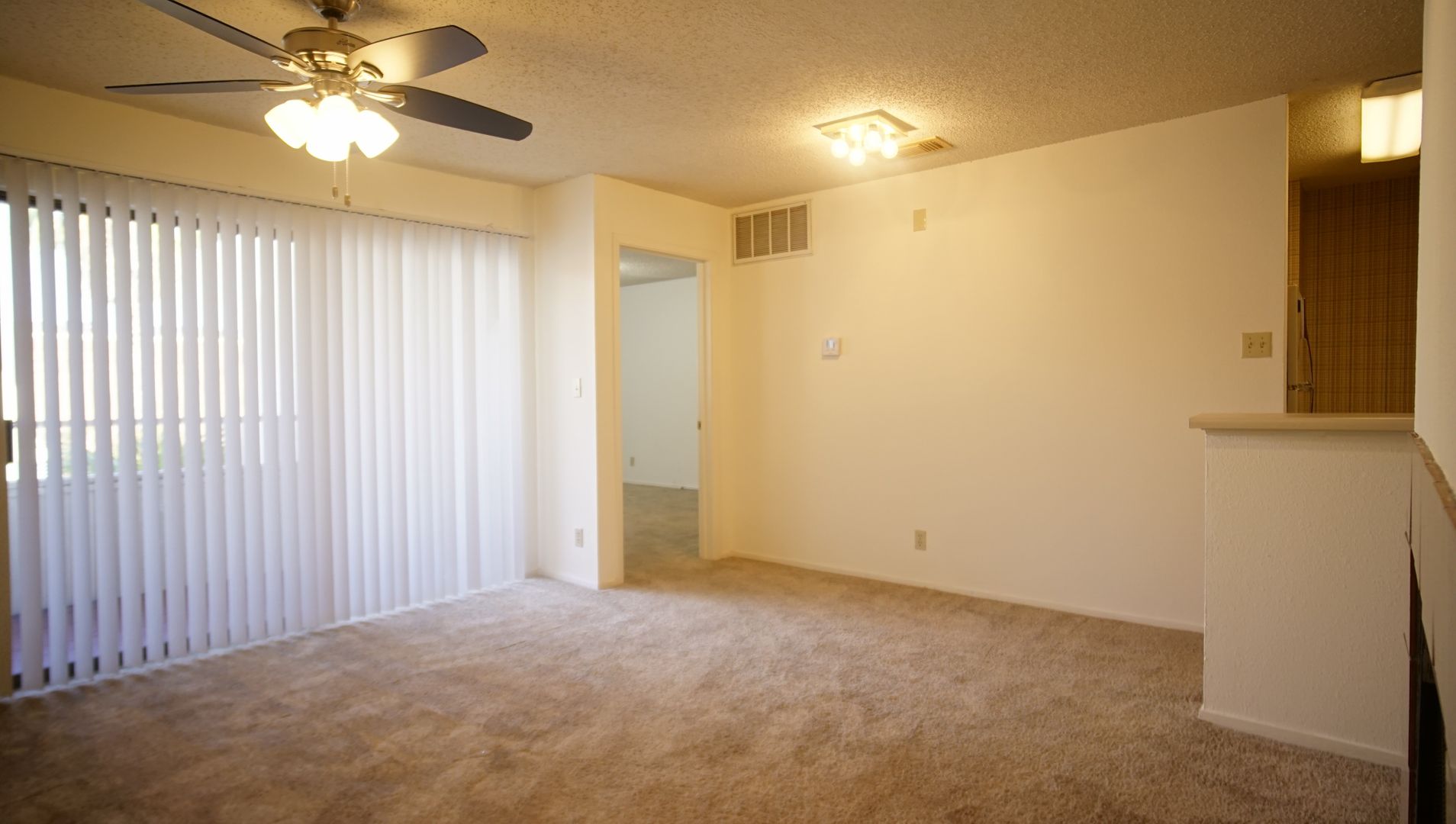 3115 Helms Unit 213 Austin, TX 78705