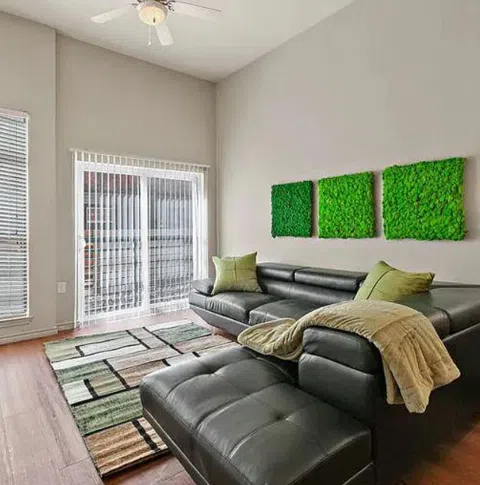 5117 N Lamar #100