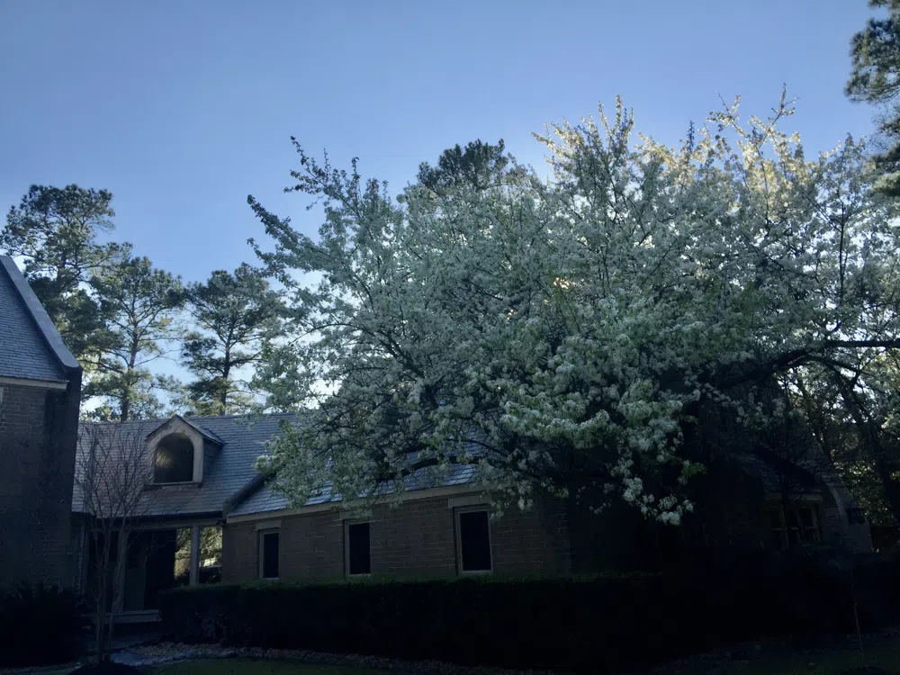 2802 Valley Drive Kingwood, Texas 77339