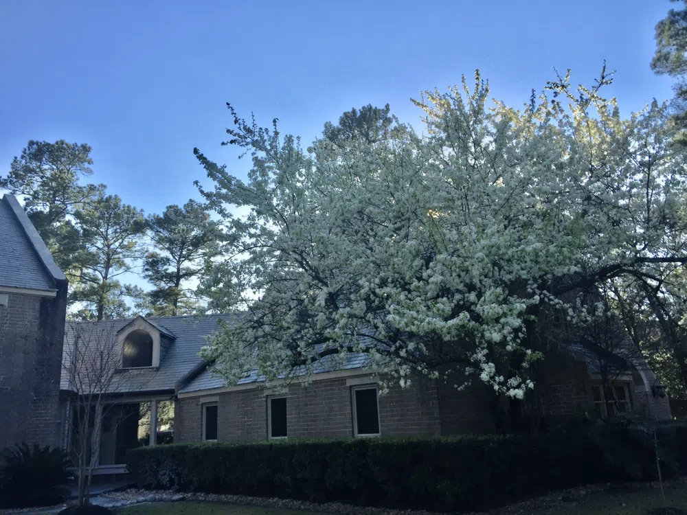 2802 Valley Drive Kingwood, Texas 77339
