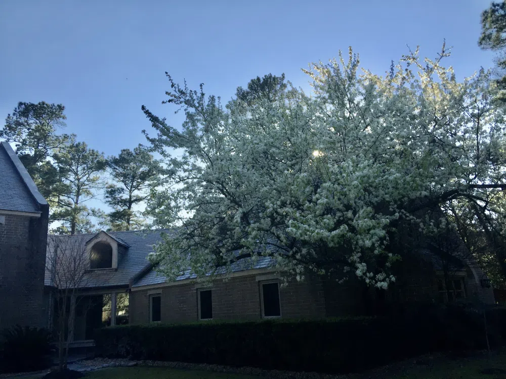 2802 Valley Drive Kingwood, Texas 77339
