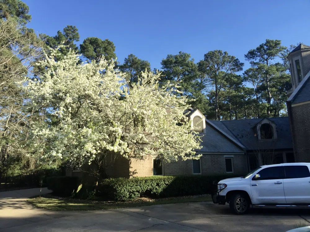 2802 Valley Drive Kingwood, Texas 77339