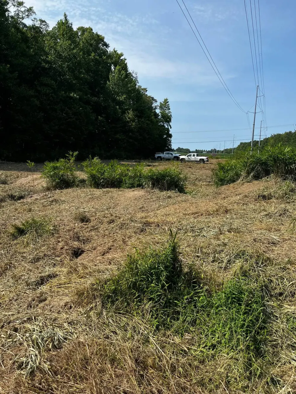 3041 Indian River Road Virginia Beach, VA 23456